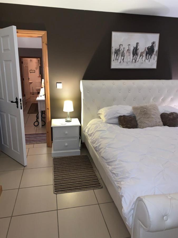 Causeway Coast Country Cottage, Pet-Friendly 밸리캐슬 외부 사진