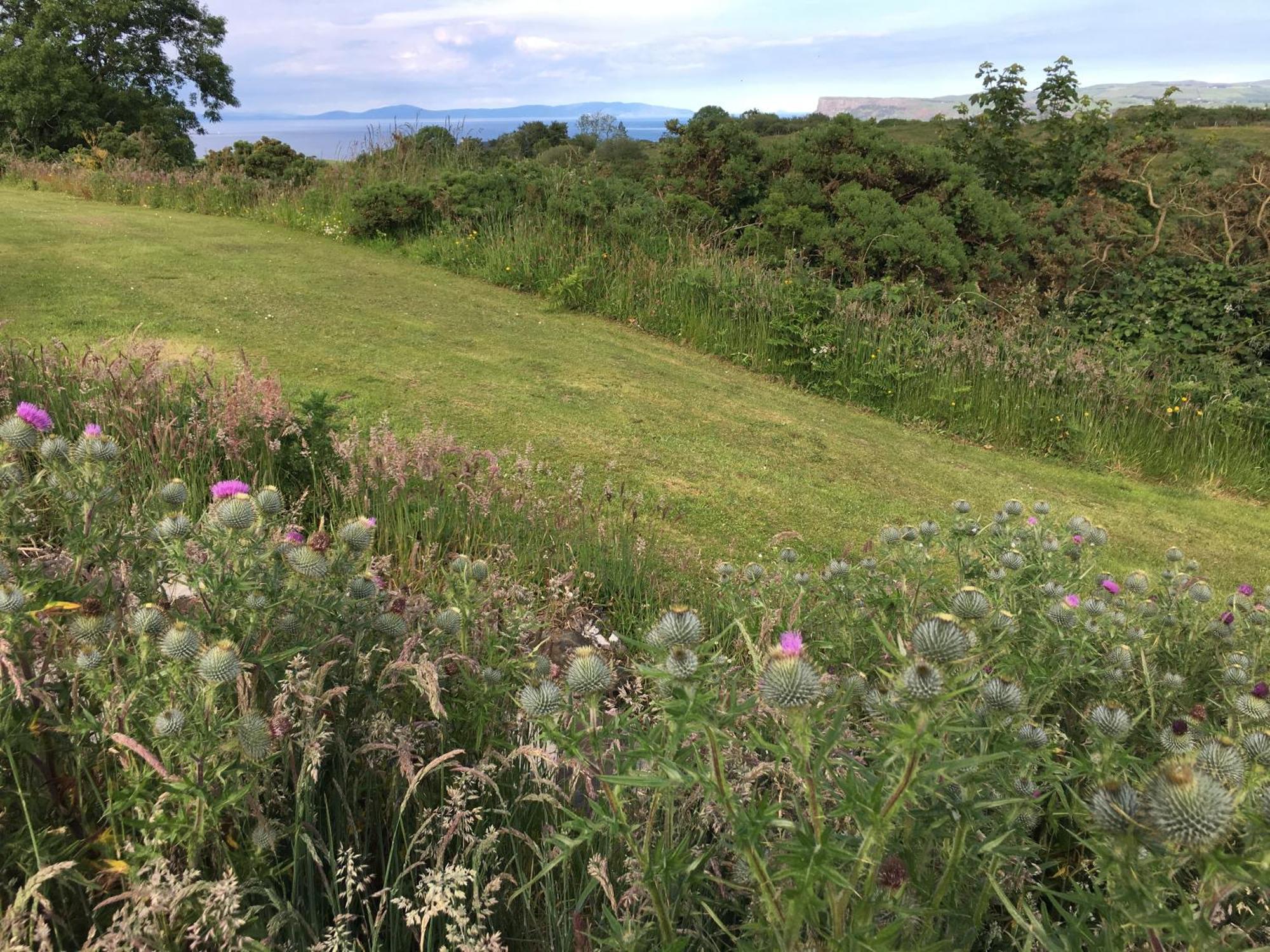 Causeway Coast Country Cottage, Pet-Friendly 밸리캐슬 외부 사진